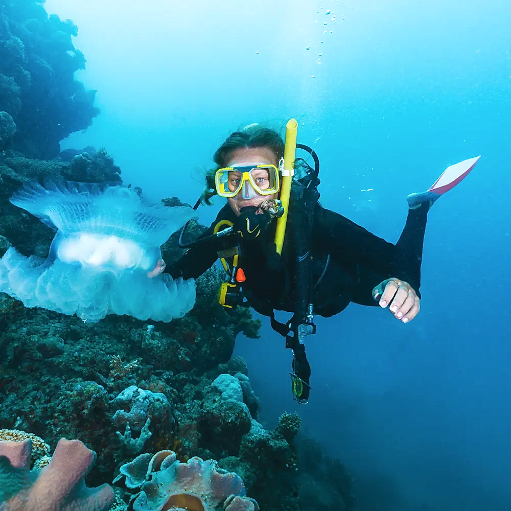 Fethiye Tüplü Dalış