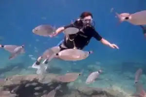 Fethiye Tüplü Dalış Turu SSS 15 Soru