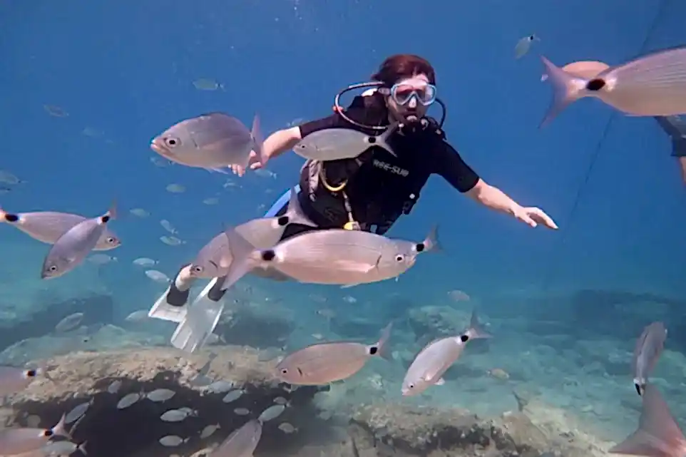 Fethiye Tüplü Dalış Turu SSS 15 Soru