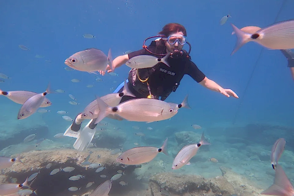 Ölüdeniz Tüplü Dalış - Eğitmenli&nbsp;