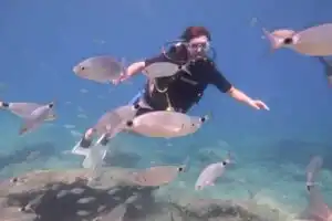 Fethiye Tüplü Dalış Turu