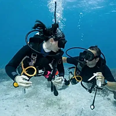 Fethiye Tüplü Dalış