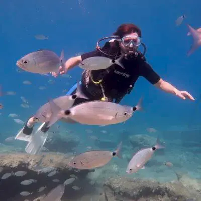 Ölüdeniz Tüplü Dalış