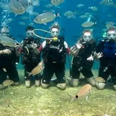 Ölüdeniz Tüplü Dalış